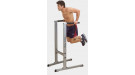 Брусья Body Solid Gdip-59